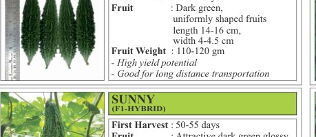 VNR 211 Bitter Gourd Seeds