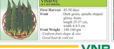 Vishnu Bitter Gourd Seeds
