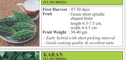 VNR 28 Bitter Gourd Seeds