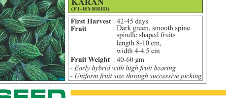 Karan Bitter Gourd Seeds