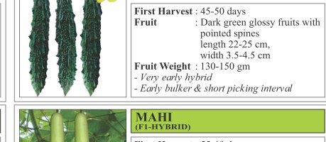 Yuvraj Bitter Gourd Seeds