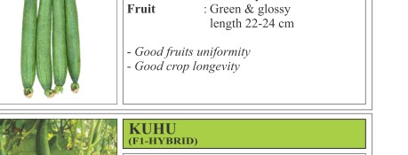 Radoma Cucumber Seeds