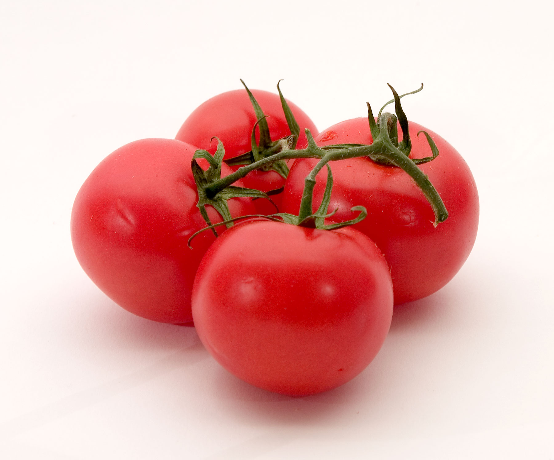 VNR 1064 Tomato Seeds