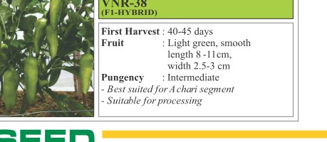VNR 38 Tomato Seeds