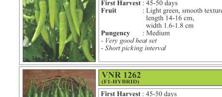 Pari Chilli Seeds