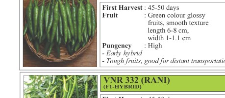 VNR 126 Chilli Seeds