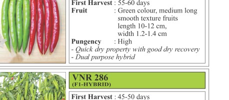 VNR 788 Chilli Seeds