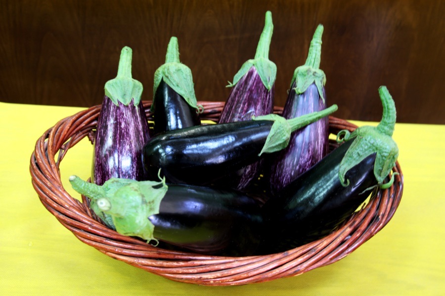 Glossy 56 Brinjal Seeds