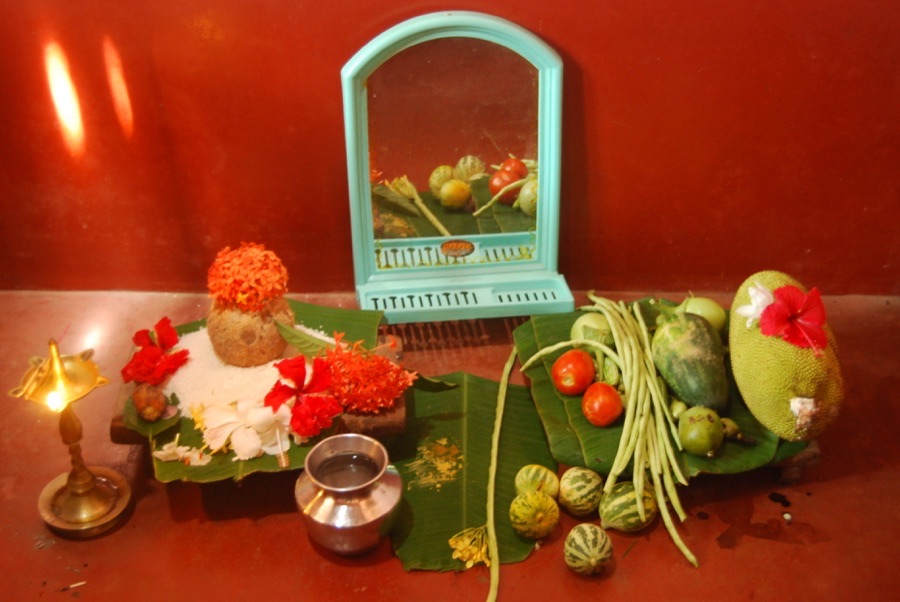VNR 212 Brinjal Seeds