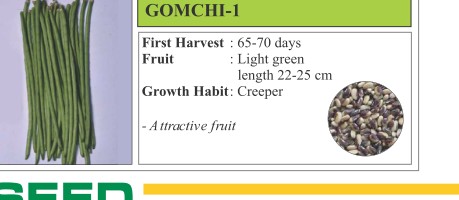 Gomchi 1 Okra Seeds