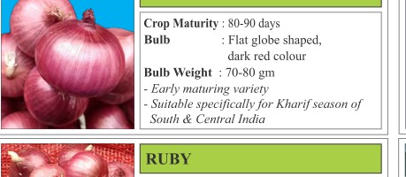 Rohit Cowpea Seeds