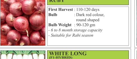 Ruby Cowpea Seeds