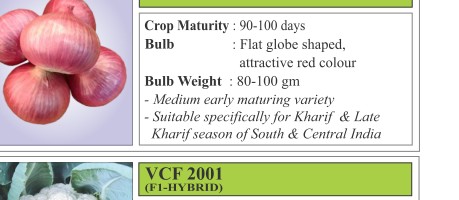 Lohit Cowpea Seeds