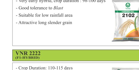 VNR 2102 Paddy Seeds