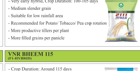 VNR 2111 Power Paddy Seeds