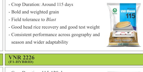 VNR Bheem 115 Paddy Seeds