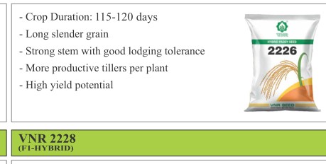 VNR 2226 Paddy Seeds