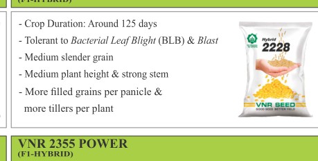 VNR 2228 Paddy Seeds