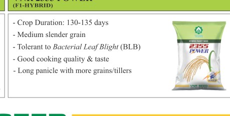 VNR 2355 Power Paddy Seeds
