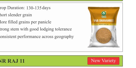 VNR Dhanshree Paddy Seeds