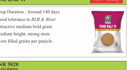 VNR Raj 11 Paddy Seeds