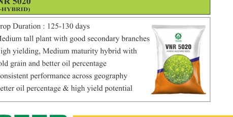 VNR 5070 Paddy Seeds