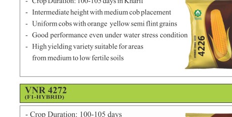 VNR 4226 Maize Seeds