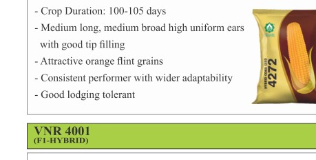 VNR 4272 Maize Seeds