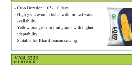 VNR 4001 Maize Seeds