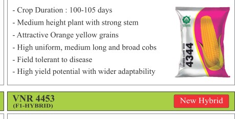 VNR 4344 Maize Seeds